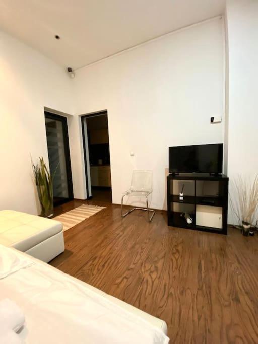 Harmony Homes- Piata Unirii Central Apartament Temešvár Exteriér fotografie