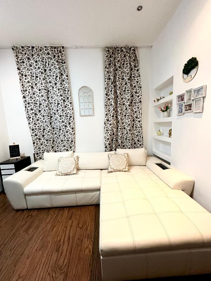 Harmony Homes- Piata Unirii Central Apartament Temešvár Exteriér fotografie