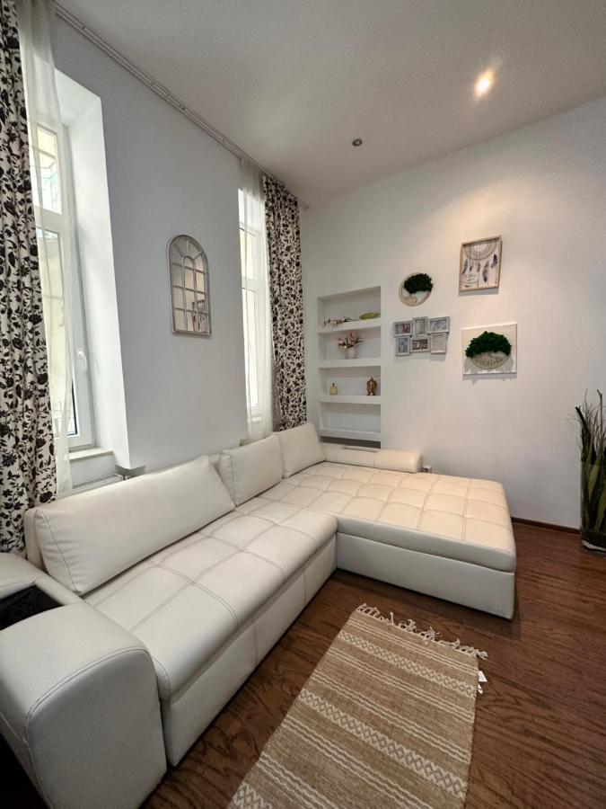 Harmony Homes- Piata Unirii Central Apartament Temešvár Exteriér fotografie