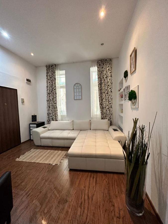 Harmony Homes- Piata Unirii Central Apartament Temešvár Exteriér fotografie