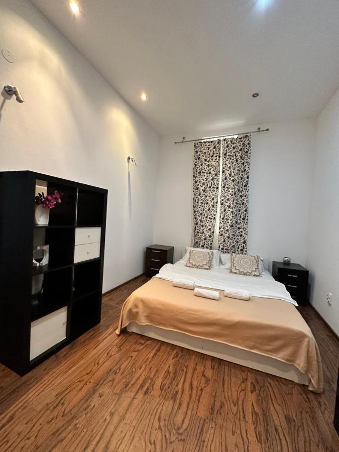 Harmony Homes- Piata Unirii Central Apartament Temešvár Exteriér fotografie