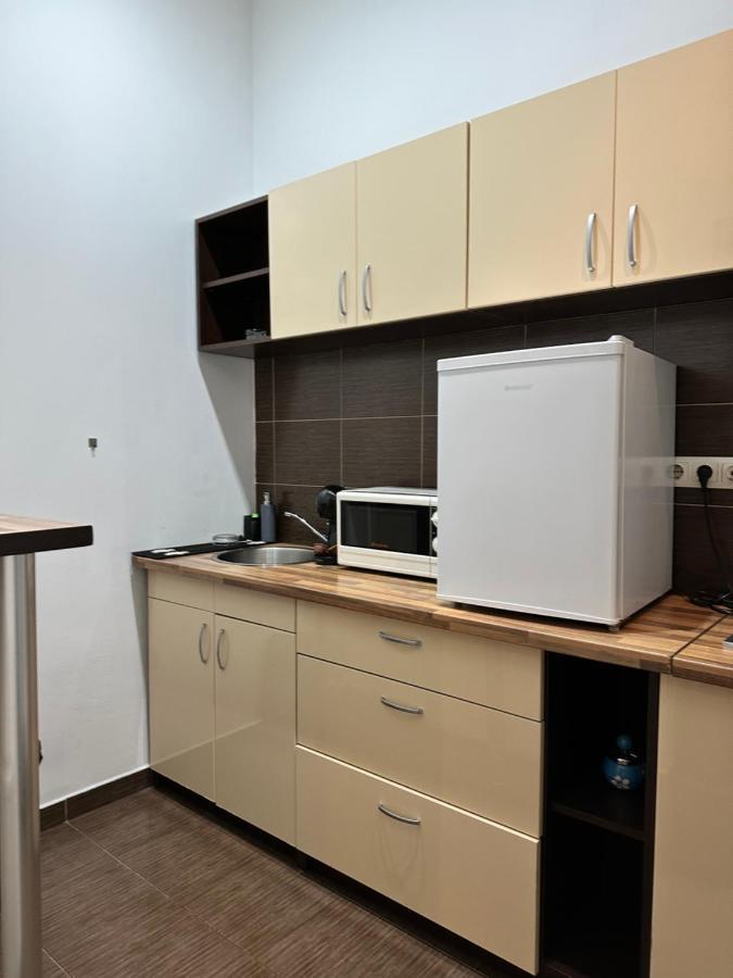 Harmony Homes- Piata Unirii Central Apartament Temešvár Exteriér fotografie