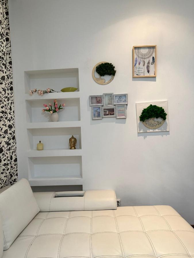 Harmony Homes- Piata Unirii Central Apartament Temešvár Exteriér fotografie